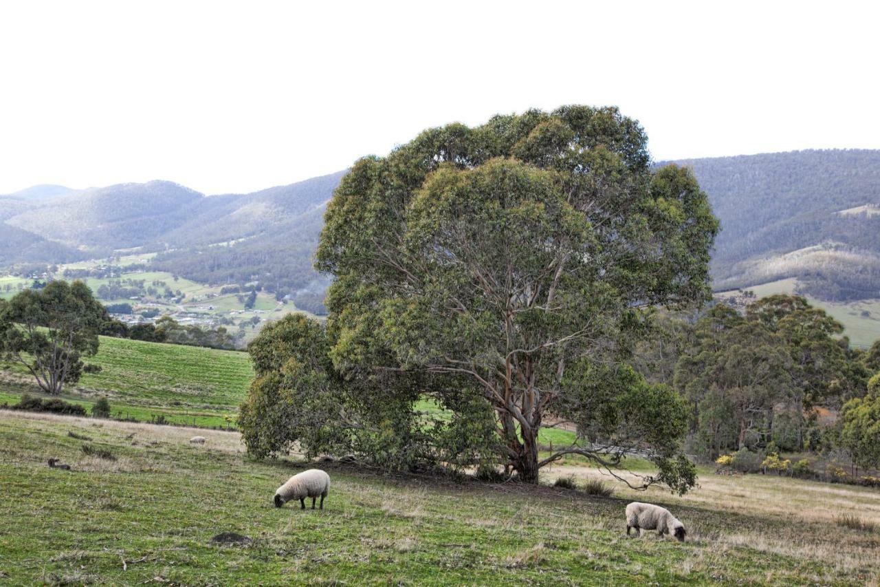 House On The Hill Bed And Breakfast Huonville Eksteriør bilde